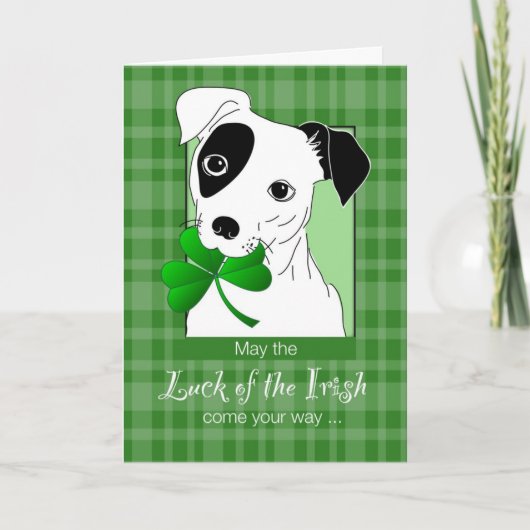 Jack Russell Terrier met St. Patrick's Day Green Kaart (Voorkant)