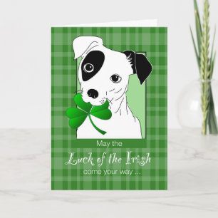 Jack Russell Terrier met St. Patrick's Day Green Kaart