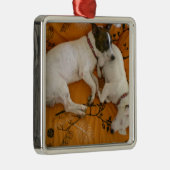 Jack Russell Terrier Metalen Ornament (Rechts)