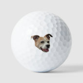 Jack Russell Terrier Mix Golfballen (Voorkant)