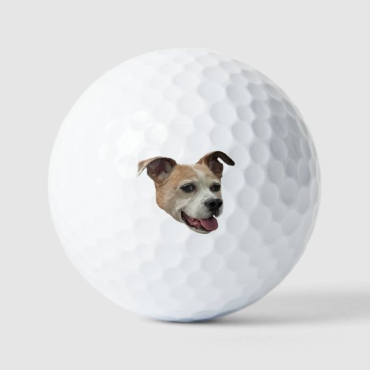 Jack Russell Terrier Mix Golfballen (Voorkant)