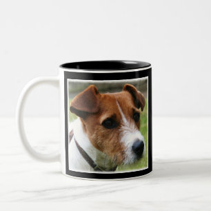Jack Russell Terrier  Mok