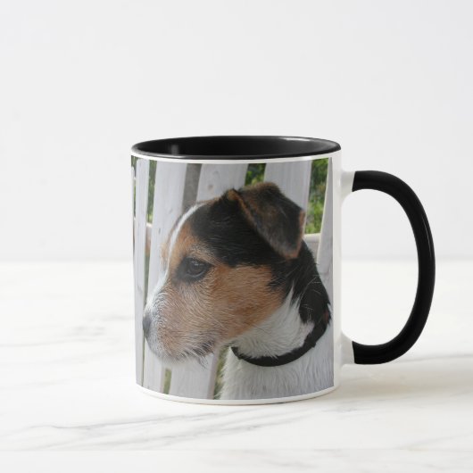Jack Russell Terrier Mok (Rechts)
