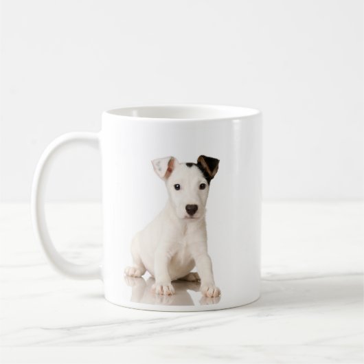 Jack Russell Terrier Mok (Links)