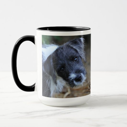 Jack Russell Terrier Mok van Janz (Links)