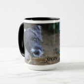 Jack Russell Terrier Mok van Janz (Voorkant links)