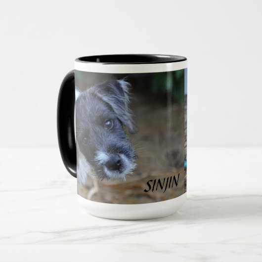 Jack Russell Terrier Mok van Janz (Voorkant links)