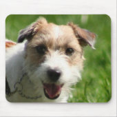 Jack Russell Terrier mousepad Muismat (Voorkant)