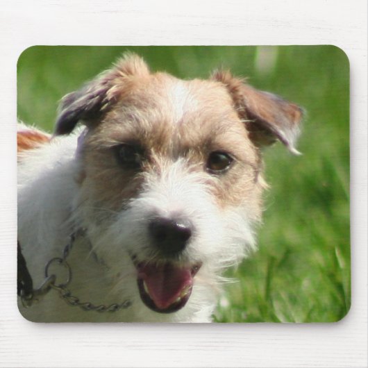 Jack Russell Terrier mousepad Muismat (Voorkant)