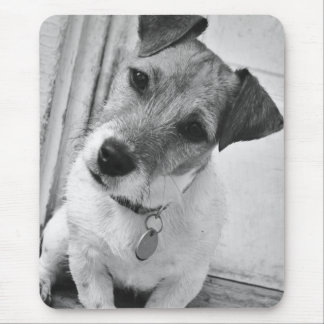 Jack Russell Terrier Muismat