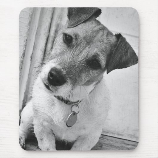 Jack Russell Terrier Muismat (Voorkant)