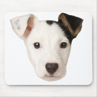 Jack Russell Terrier Muismat