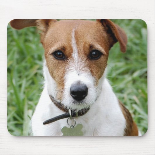 Jack Russell Terrier Muismat (Voorkant)