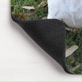 JACK RUSSELL TERRIER MUISMAT (Hoek)