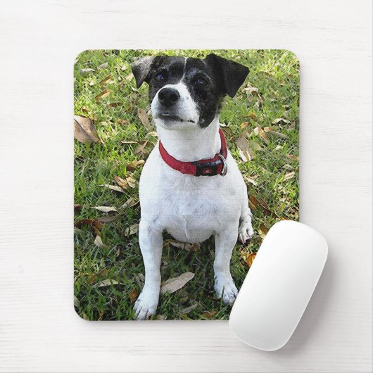 JACK RUSSELL TERRIER MUISMAT (Met muis)