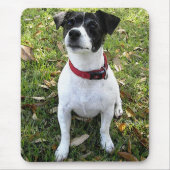 JACK RUSSELL TERRIER MUISMAT (Voorkant)