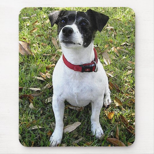 JACK RUSSELL TERRIER MUISMAT (Voorkant)