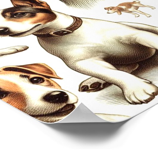  Jack Russell Terrier Naadloos Poster (Hoek)