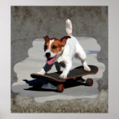 Jack Russell Terrier op Skateboard Poster (Voorkant)