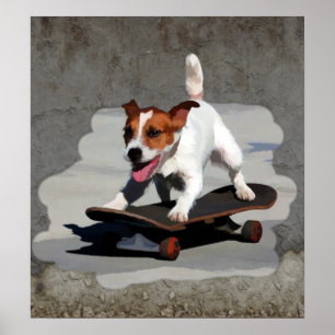 Jack Russell Terrier op Skateboard Poster