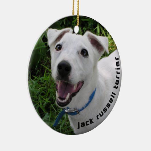 JACK RUSSELL TERRIER ORNAMENT (Rechts)