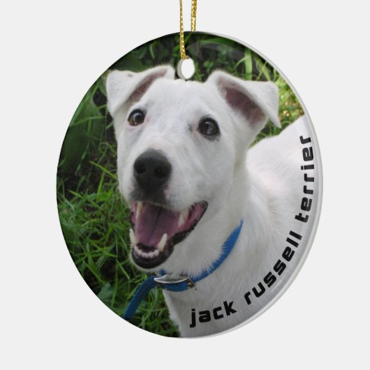 JACK RUSSELL TERRIER ORNAMENT (Links)