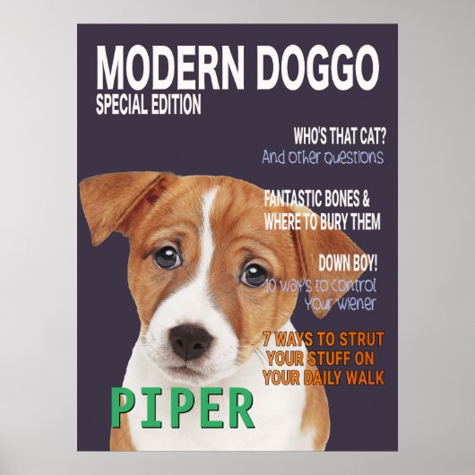 Jack Russell Terrier Parody Magazine Hoesje Poster (Voorkant)