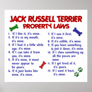 JACK RUSSELL TERRIER PL2 POSTER