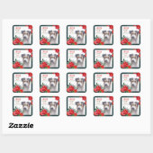 Jack Russell Terrier Poinsettia Border Kerstmis Vierkante Sticker (Vel)