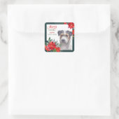 Jack Russell Terrier Poinsettia Border Kerstmis Vierkante Sticker (Tas)