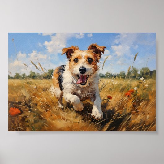 Jack Russell Terrier Poster (Voorkant)