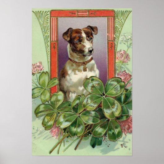 Jack Russell Terrier Poster (Voorkant)