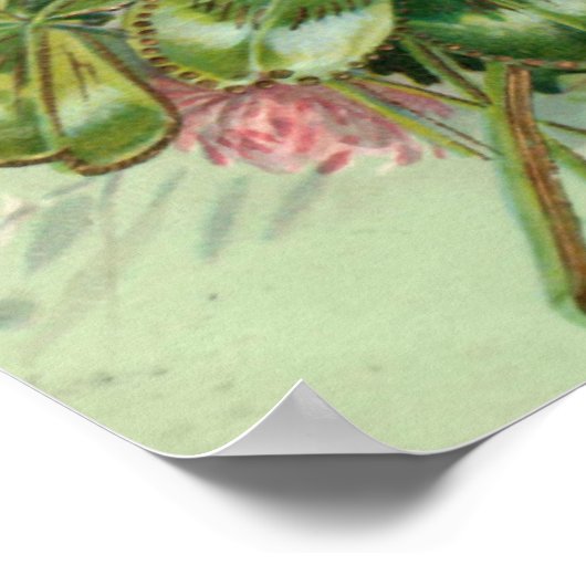 Jack Russell Terrier Poster (Hoek)