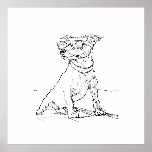 Jack Russell Terrier Poster (Voorkant)