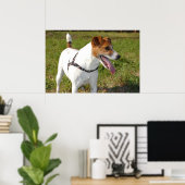 Jack Russell Terrier Poster (Thuiskantoor)