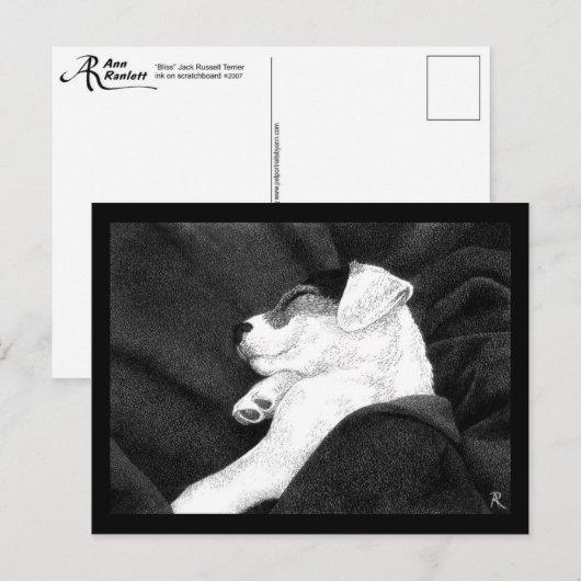 Jack Russell Terrier Pup Briefkaart - "Bliss" (Voorkant / Achterkant)