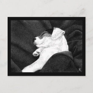 Jack Russell Terrier Pup Briefkaart - "Bliss"