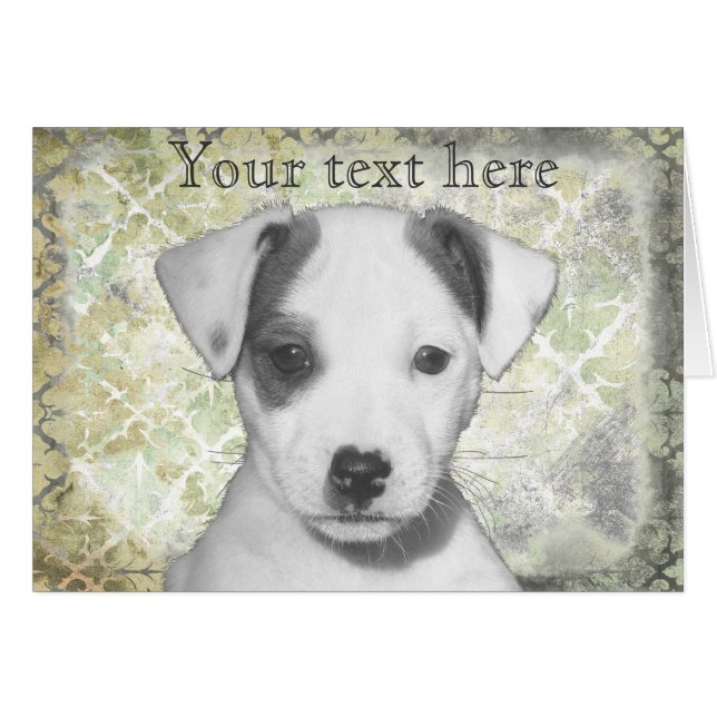 Jack Russell Terrier Puppy (Voorkant Horizontaal)