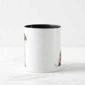 Jack Russell Terrier puppy (3 maanden oud) Mok (Midden)