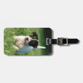 Jack Russell Terrier puppy Bagagelabel (Voorkant horizontaal)