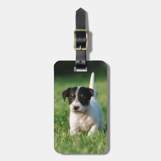 Jack Russell Terrier puppy Bagagelabel (Voorkant verticaal)