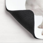 Jack Russell Terrier Puppy Brown and White Dog Muismat (Hoek)