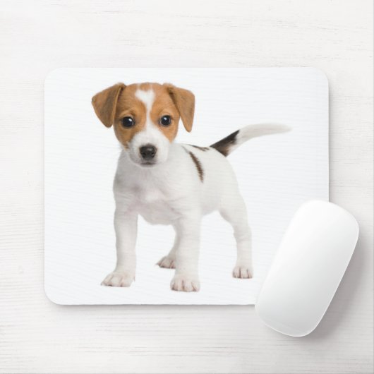 Jack Russell Terrier Puppy Brown and White Dog Muismat (Met muis)
