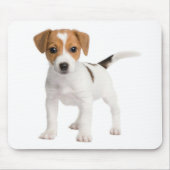 Jack Russell Terrier Puppy Brown and White Dog Muismat (Voorkant)
