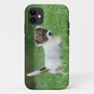 Jack Russell Terrier puppy Case-Mate iPhone Case