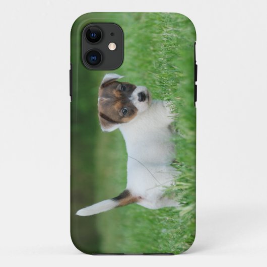 Jack Russell Terrier puppy Case-Mate iPhone Case (Achterkant)