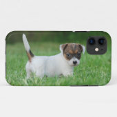 Jack Russell Terrier puppy Case-Mate iPhone Case (Achterkant (horizontaal))