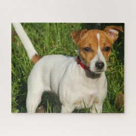 Jack Russell Terrier Puppy Dog Jigzaag Puzzle Legpuzzel