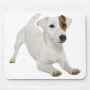 Jack Russell Terrier Puppy Dog Love Muismat