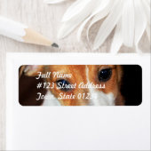 Jack Russell Terrier Puppy Dog Mailing Label (Insitu)